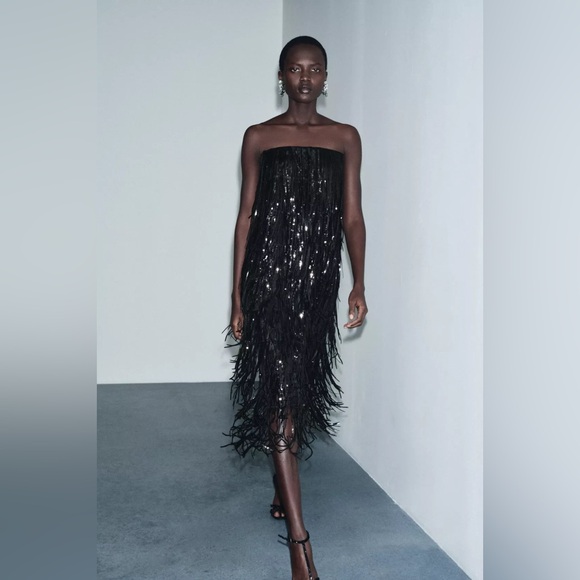 Zara Dresses & Skirts - Zara Limited Edition SEQUIN FRINGE Black Midi DRESS sz.XS